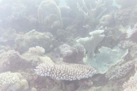 kayaksnorkel14