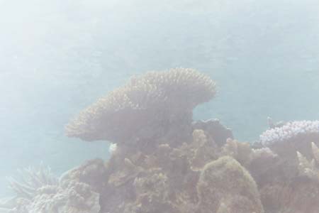 kayaksnorkel15