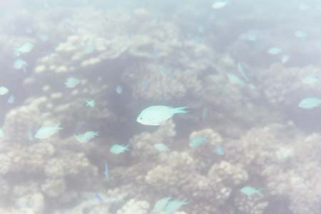 kayaksnorkel19