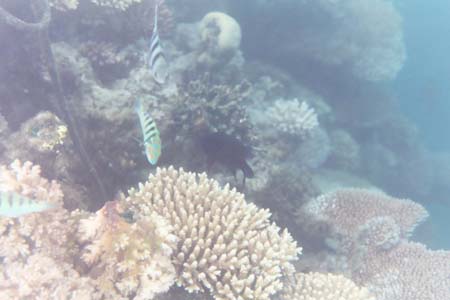 kayaksnorkel22