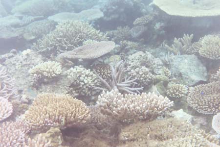 kayaksnorkel3
