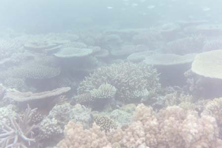kayaksnorkel33
