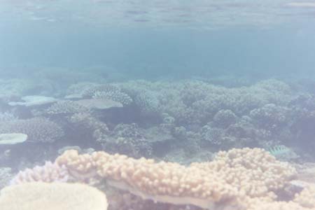 kayaksnorkel34