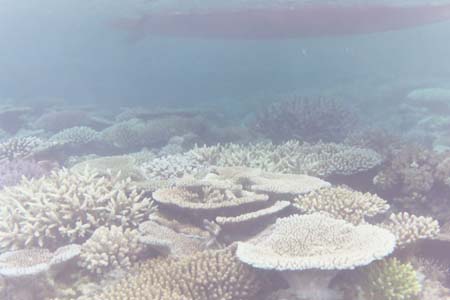 kayaksnorkel35
