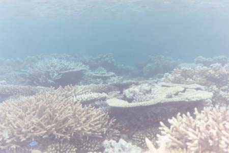 kayaksnorkel36