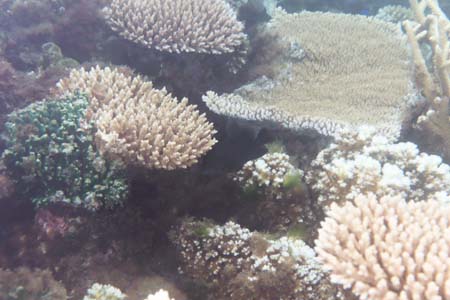 kayaksnorkel8