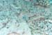 blueribbon20