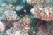 carpetcove28