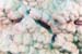 carpetcove4