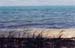 GrassOcean