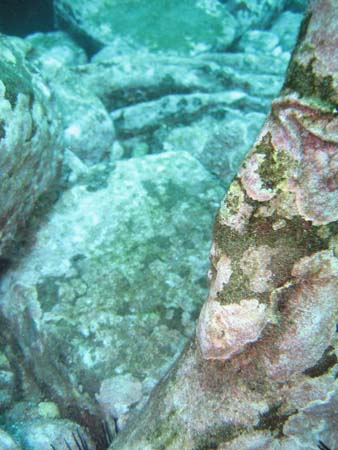 IMG_2194