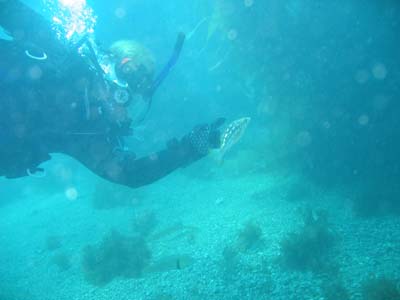 LauraPointingAtFish