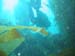 LauraANDkelp
