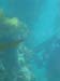 kelpPassage